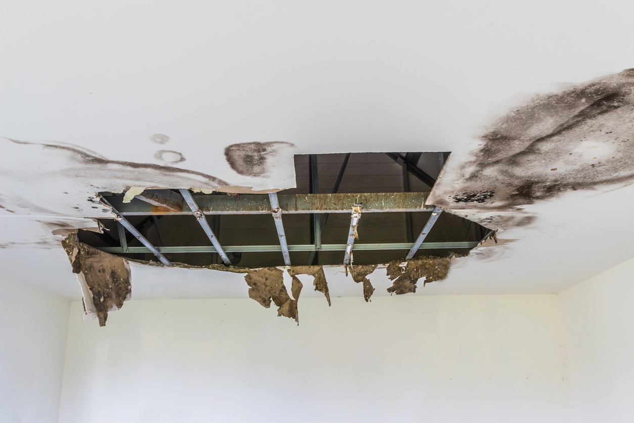 How Can Restoration Companies Help You With Water Damage?