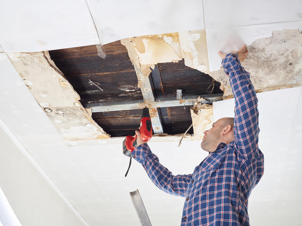 damage restoration jobs